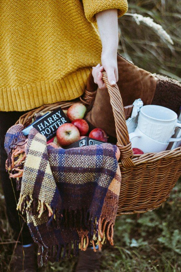 cesto picnic autunno